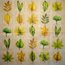 181 Plants - 3-ply - Ambiente